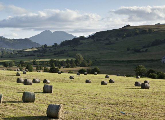 monts du cantal