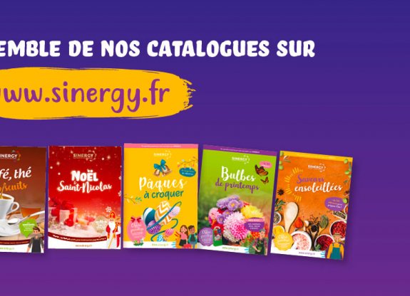 visuel catalogues