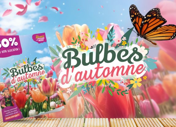 vente école bulbes d'automne