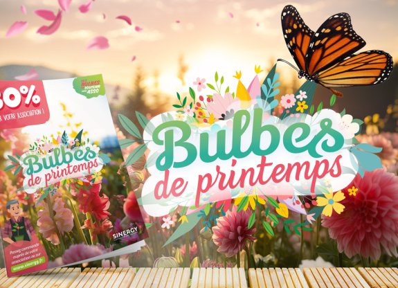 opération bulbes de printemps