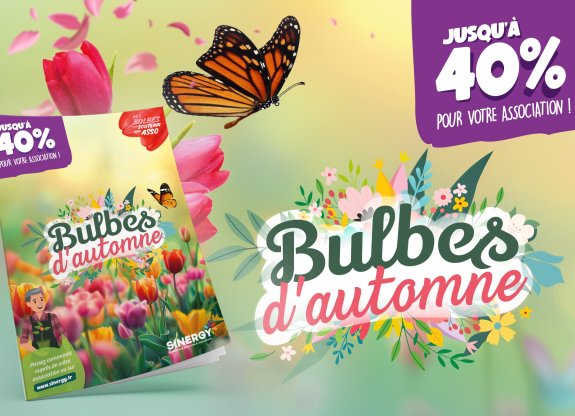vente bulbes école et associations
