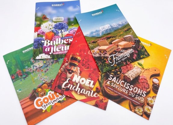 catalogues Sinergy