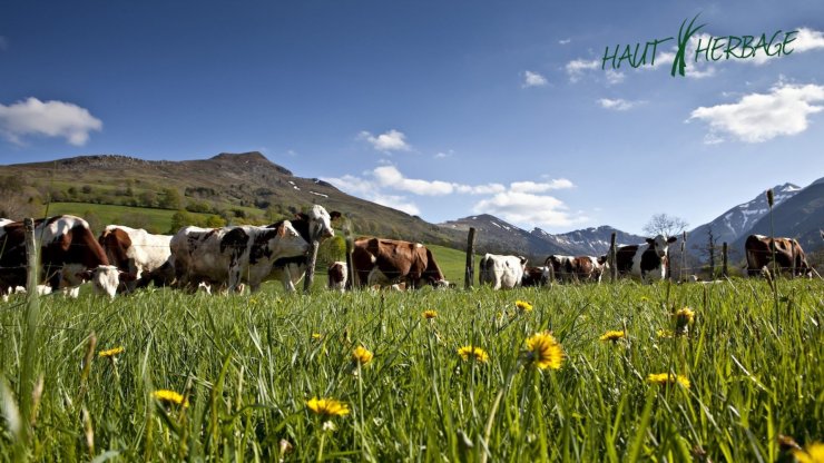 Monts du cantal3