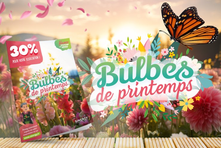 opération bulbes de printemps