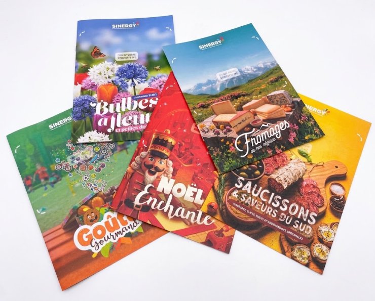 catalogues Sinergy