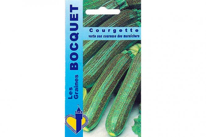 Courgette Verte non coureuse des maraîchers