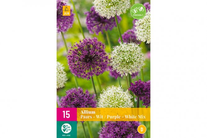 Alliums Pourpres et Blancs