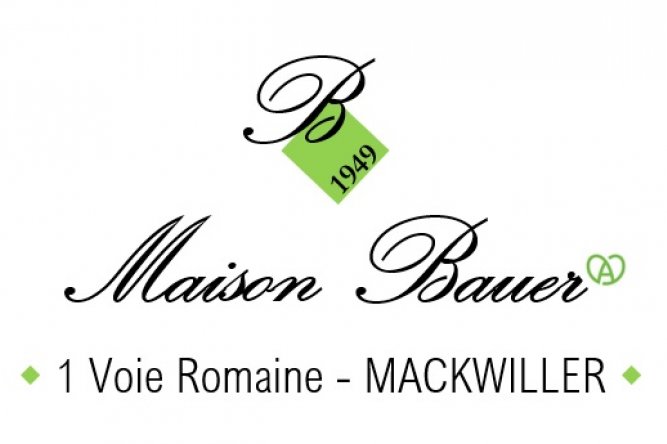 logo bauer