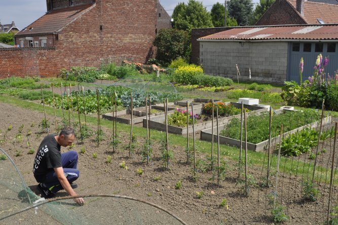 Les Graines Bocquet - Graines potagères, florales, légumes anciens