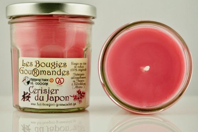 Bougie Cerisier du Japon