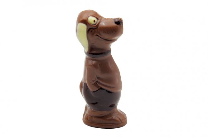 Chien Polo chocolat lait