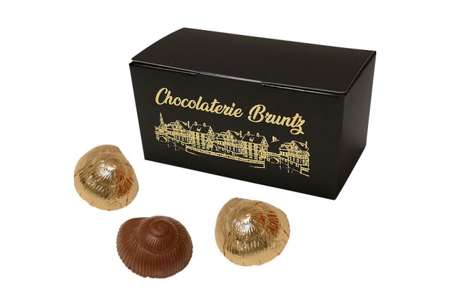 Ballotin de 16 escargots chocolat au lait / pralinés