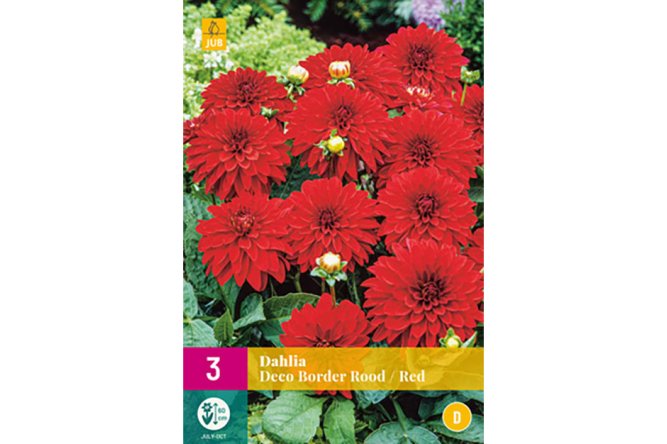 Dahlias Deco Border