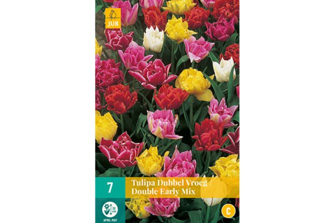 Tulipes Double Early mix