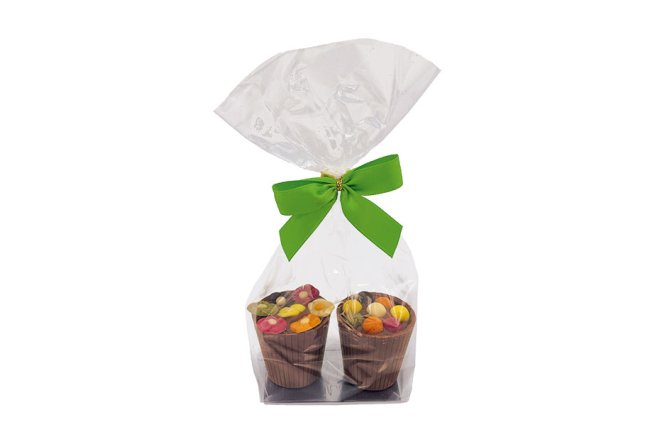 Sachet 2 pots de fleurs chocolat lait
