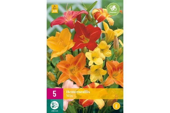 Hemerocallis Mix
