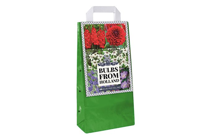 Mélange de bulbes Holland Mix