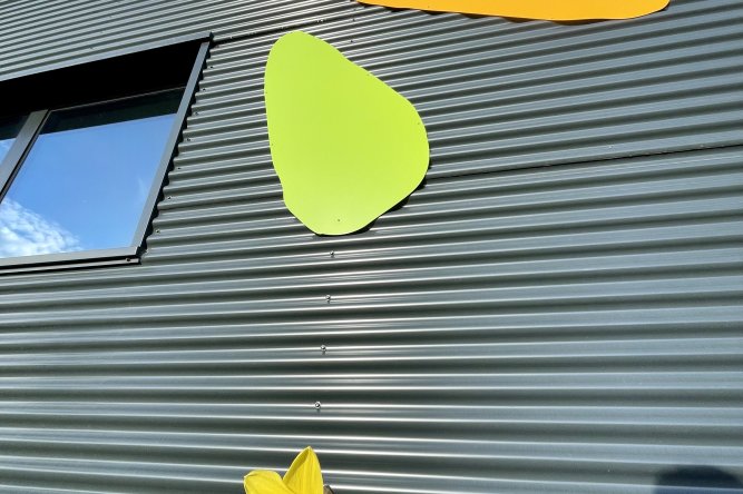 Première jonquille Sinergy