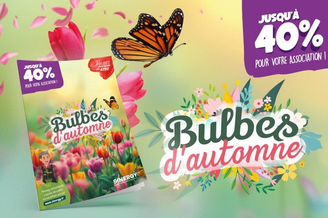 vente bulbes école et associations