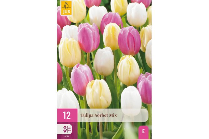 Tulipes Sorbet Mix