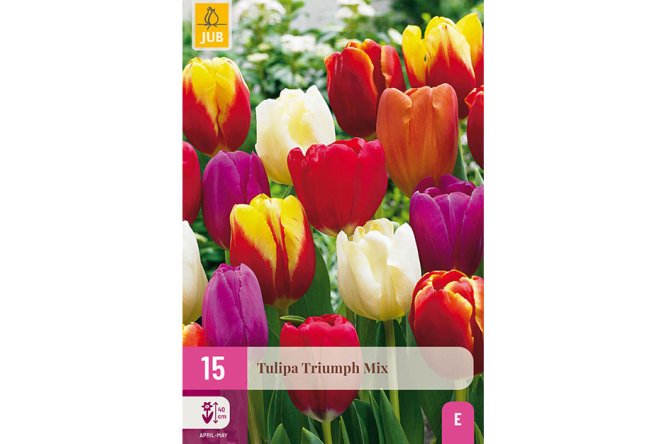 Tulipes Triumph Mix