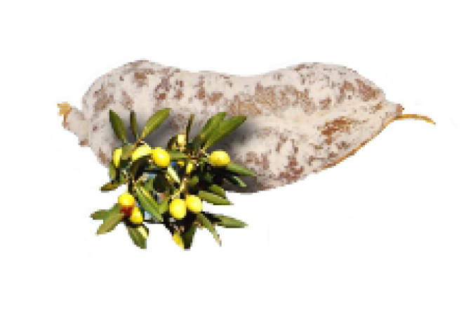 Saucisson aux olives
