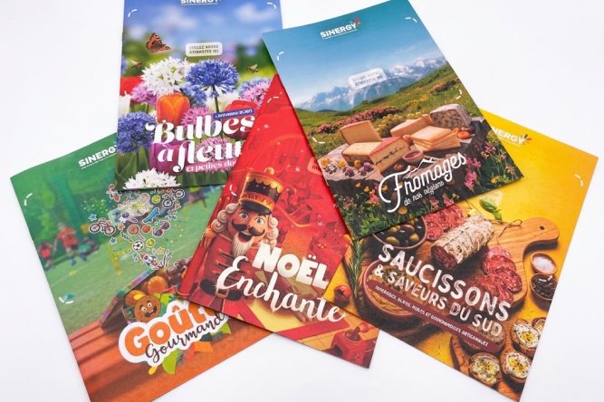 catalogues Sinergy