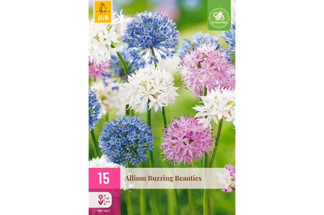 Alliums Buzzing Beauties