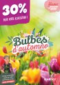 catalogue bulbes d'automne