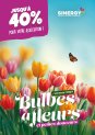 Bulbes à fleurs Automne 2025