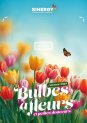 Catalogue bulbes à fleurs