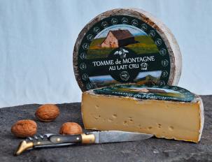 photo tomme de montagne