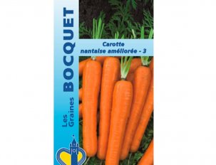 graine bocquet carotte