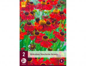 helenium