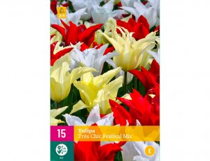 tulipe très chic festival