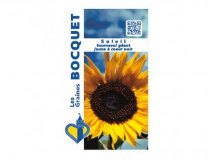 graine bocquet tournesol