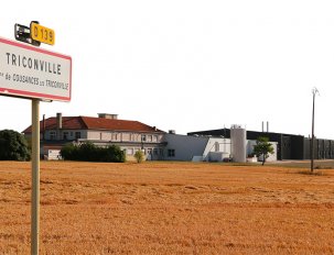 fromagerie Dongé brie coulommiers