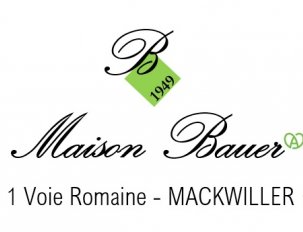 logo bauer