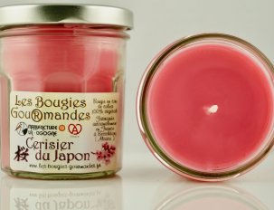 bougie cerisier du japon
