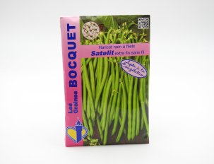 graines haricots satelit bocquet
