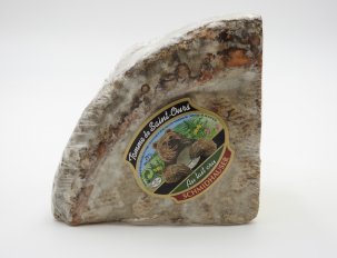 tomme de savoie puissante