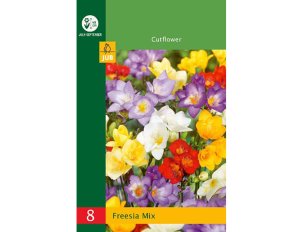 bulbes freesia mix