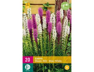 liatris