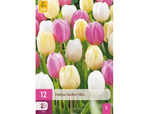 Tulipes sorbet Mix
