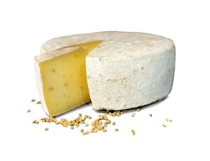 tomme de montagne Fénugrec