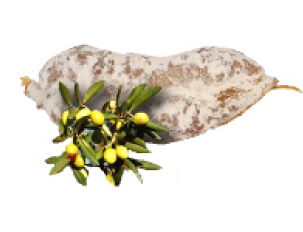 saucisson aux olives
