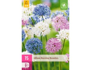 allium buzzing beautés