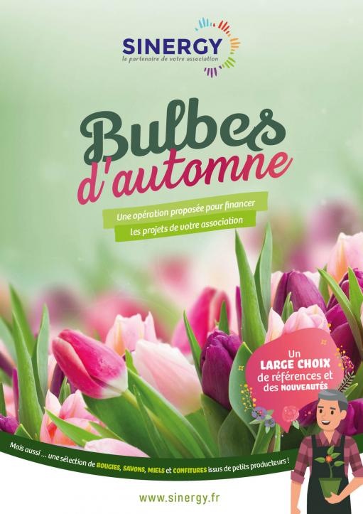 sinergy bulbes automne 2020