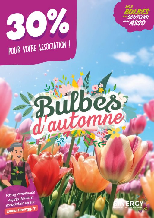 bulbes automne % 23